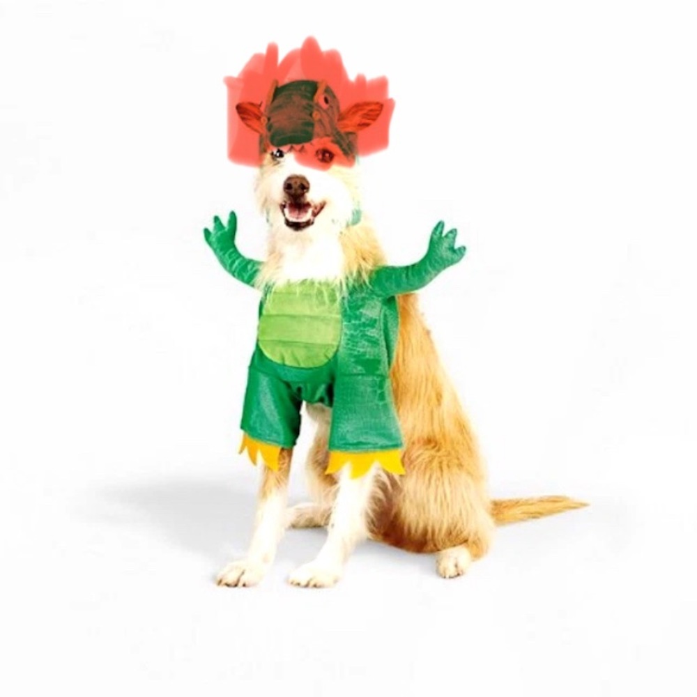 Hyde and Eek! Boutique Dog Pet Costume T-Rex - MISSING HEADPIECE - Sz Large NWT